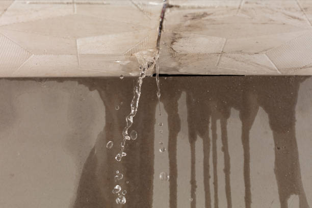 Professional Burst Pipe Cleanup technician working in Hale Center, TX